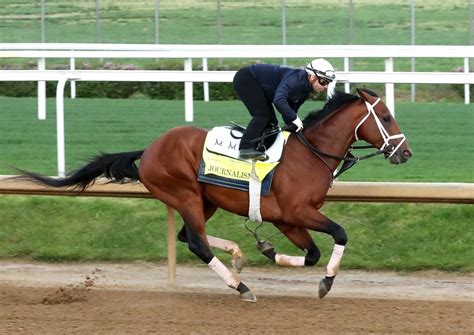 official kentucky derby site.